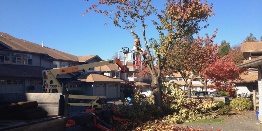 Planting & Removal Contour Landscaping