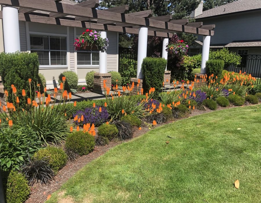 Contour Landscaping Strata Commercial Acerage Serving Lower Mainland